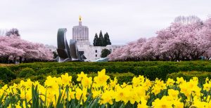 Salem, Oregon Capitol Building | GDTech